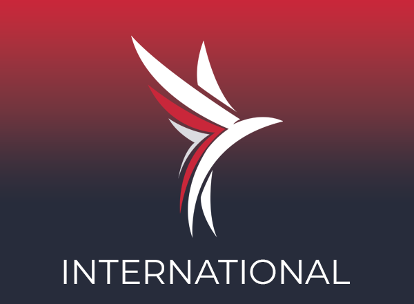 International Commercial Flight Image