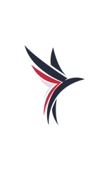 CHIEF EXECUTIVE OFFICER